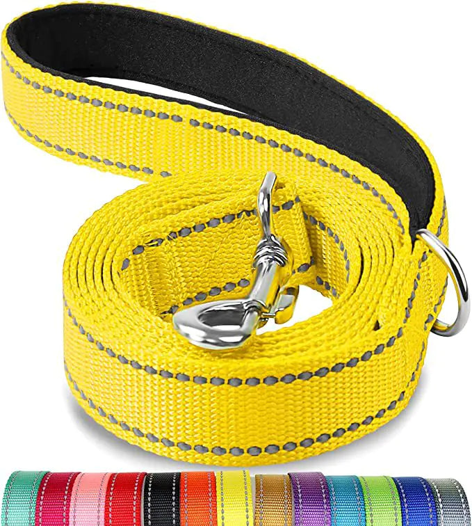 Reflective Dog Leash with Hand Grip