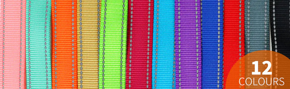 Reflective Dog Leash with Hand Grip