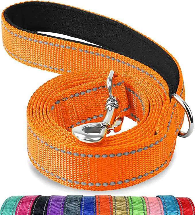 Reflective Dog Leash with Hand Grip