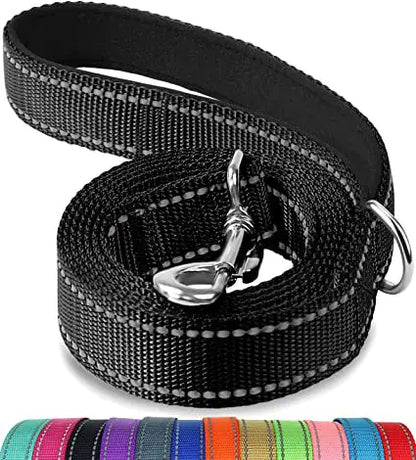Reflective Dog Leash with Hand Grip