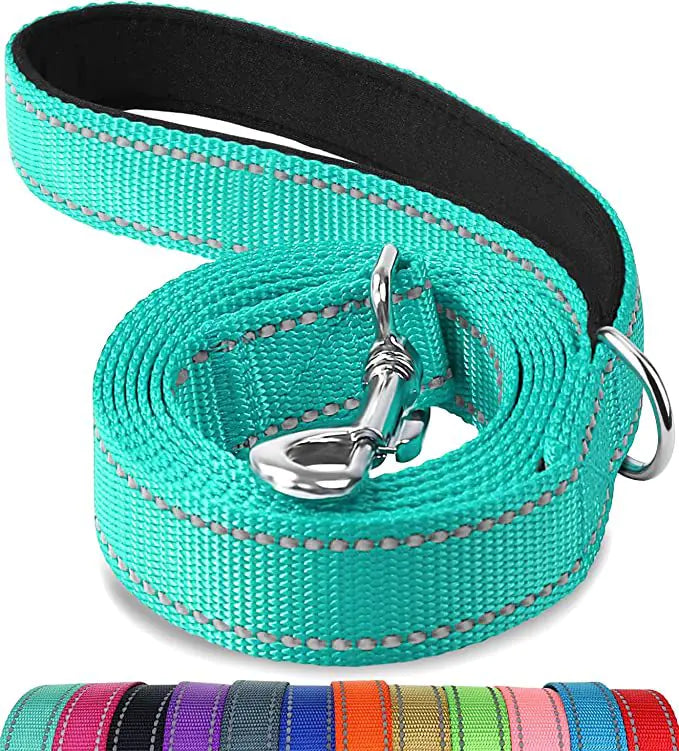 Reflective Dog Leash with Hand Grip
