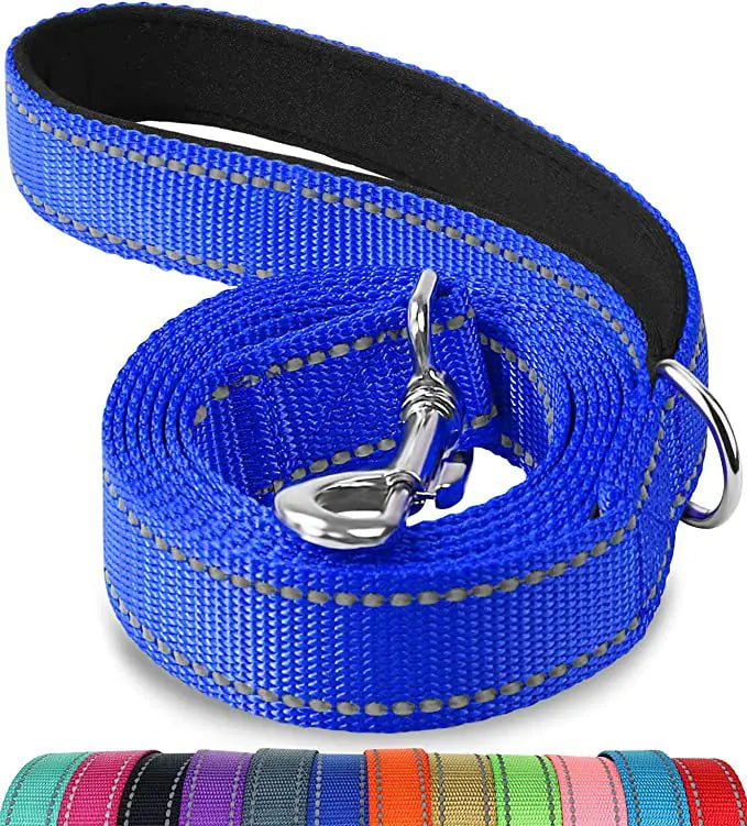 Reflective Dog Leash with Hand Grip