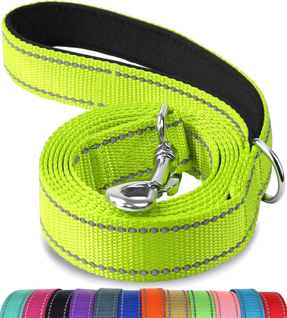 Reflective Dog Leash with Hand Grip