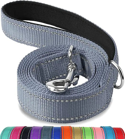 Reflective Dog Leash with Hand Grip