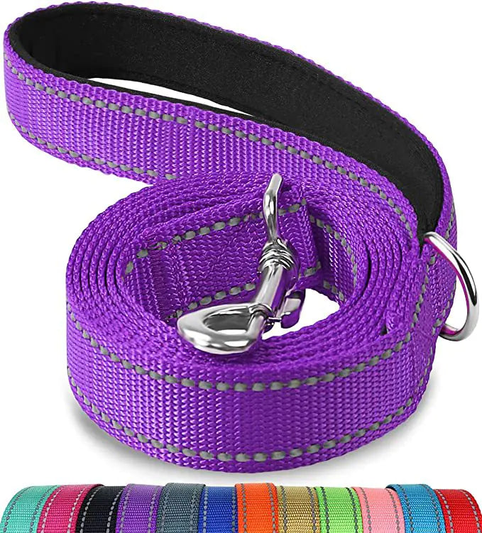 Reflective Dog Leash with Hand Grip