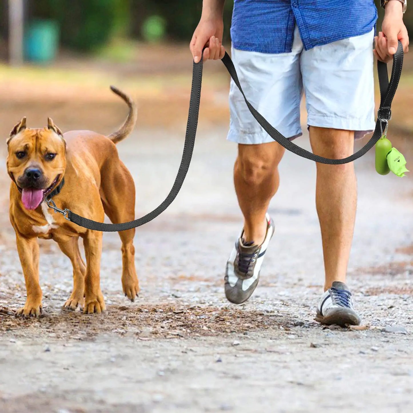 Reflective Dog Leash with Hand Grip
