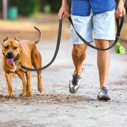 Reflective Dog Leash with Hand Grip